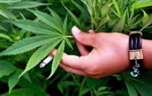 Міліція за добу 20 разів вилучала наркотики