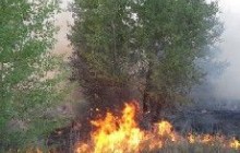 В России пожары полностью потушены в 14 регионах