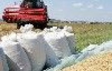 Экспортеры приостановили закупку зерновых - "АПК-Информ"