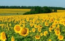 Ринок ЄС зможе компенсувати Україні втрату ринку Росії - експерт