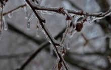 Завтра в Україні буде холодно і вогко