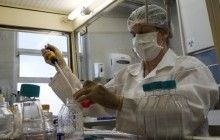 В Чехии объявлено о первых случаях заболевания вирусом Зика