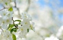 Початок робочого тижня принесе до України значне потепління