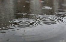 Погода на сегодня: почти всю Украину накроют дожди (карта)