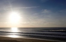 Падение уровня кислорода в морской воде массово убьет фауну - ученые