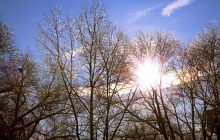 День зимового сонцестояння 2020: сьогодні найкоротший день у році