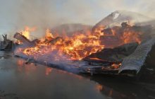 В Одеській області горів Нижньодністровський заповідник: вогонь вже біля будинків (відео)