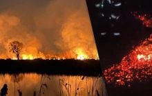 У Києві масштабна пожежа на Осокорківських озерах (фото, відео)