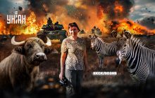 "Если россияне уничтожат заповедную степь, ее невозможно будет восстановить", - сотрудница "Аскания-Нова" Наталья Коринец