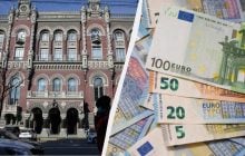 Официальный курс валют на пятницу: евро вырос к гривне