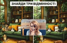 Неймовірний виклик для мозку: треба знайти 3 відмінності за 6 секунд